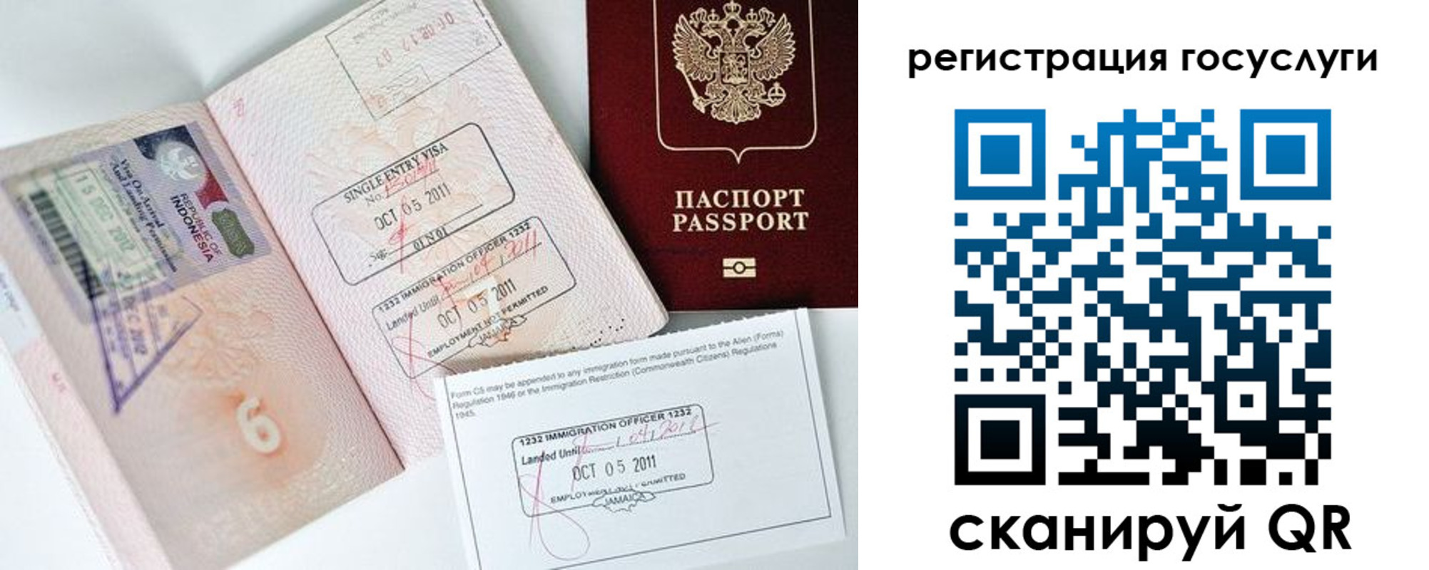 прописка в Кольчугино